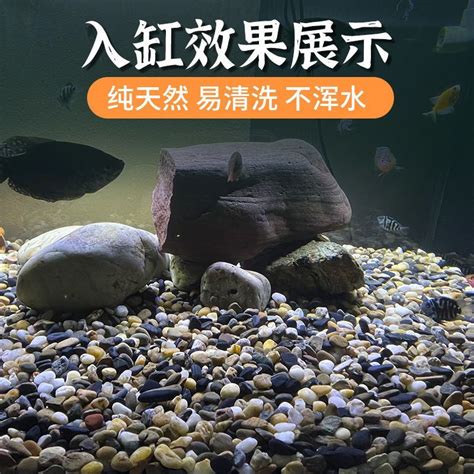 魚缸底砂種類